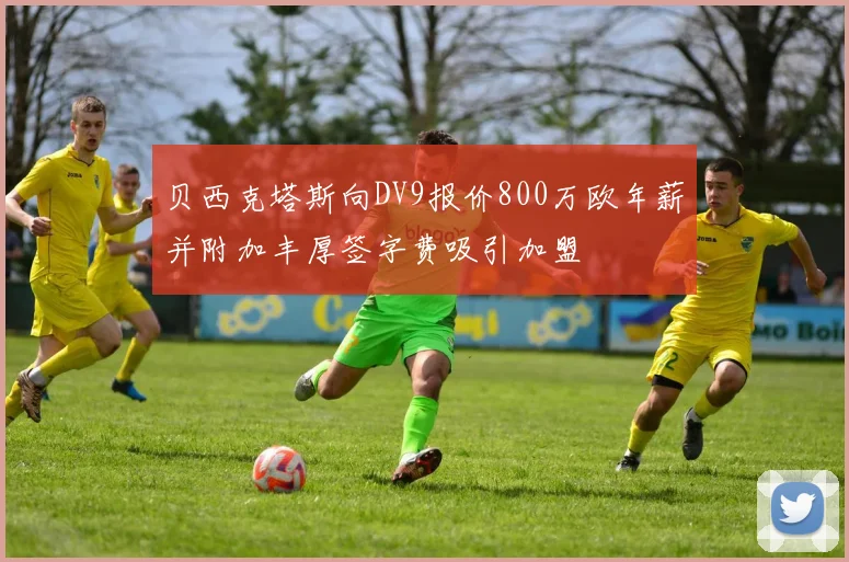 贝西克塔斯向DV9报价800万欧年薪并附加丰厚签字费吸引加盟