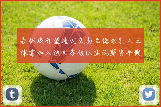 森林狼有望通过交易兰德尔引入三球需加入迪文岑佐以实现薪资平衡