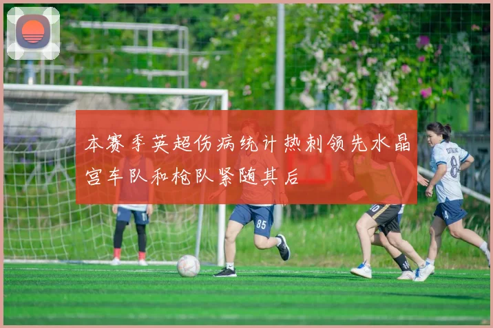 本赛季英超伤病统计热刺领先水晶宫车队和枪队紧随其后