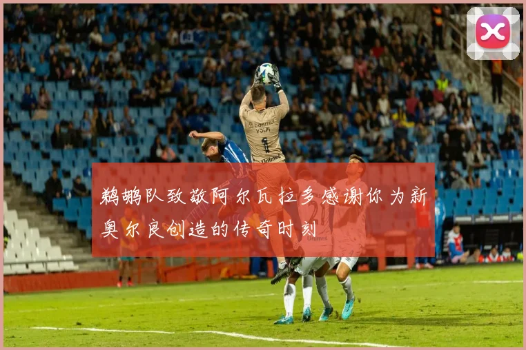 鹈鹕队致敬阿尔瓦拉多感谢你为新奥尔良创造的传奇时刻